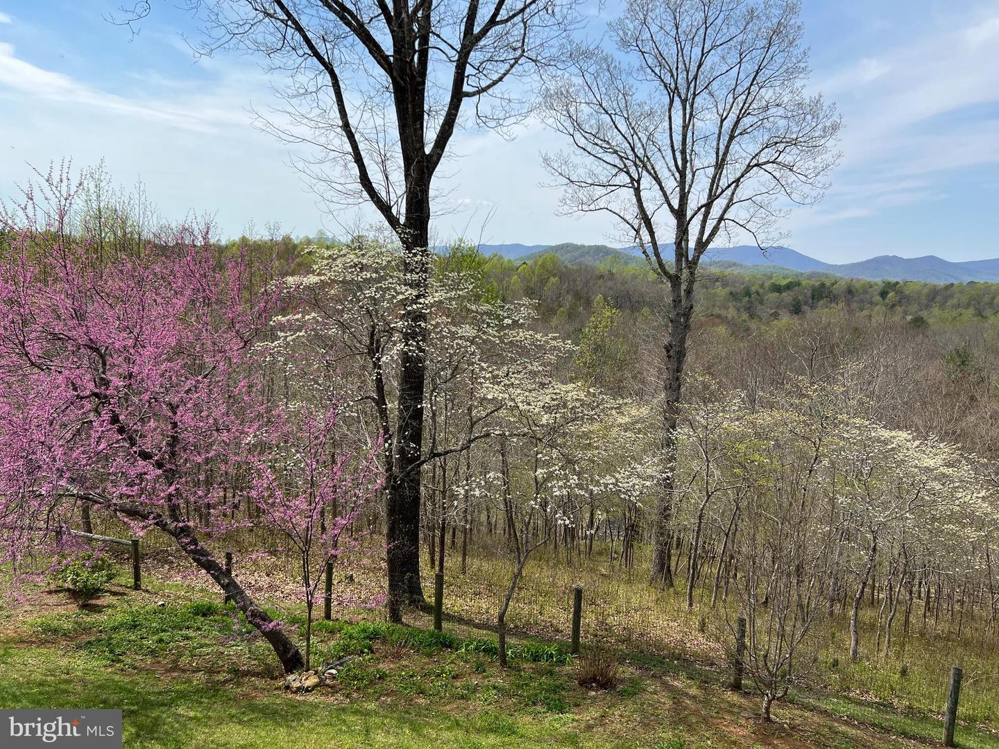 210 GRAND VIEW RD, WASHINGTON, Virginia 22747, 3 Bedrooms Bedrooms, ,4 BathroomsBathrooms,Residential,For sale,210 GRAND VIEW RD,VARP2002226 MLS # VARP2002226