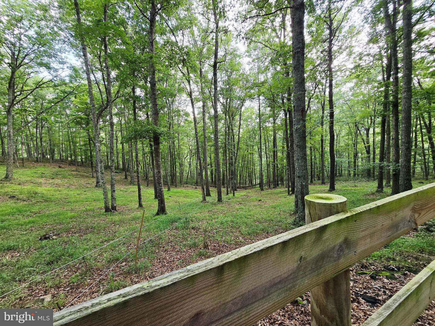 227 DOGWOOD LN, MONTEREY, Virginia 24465, 2 Bedrooms Bedrooms, 6 Rooms Rooms,2 BathroomsBathrooms,Residential,For sale,227 DOGWOOD LN,VAHL2000058 MLS # VAHL2000058