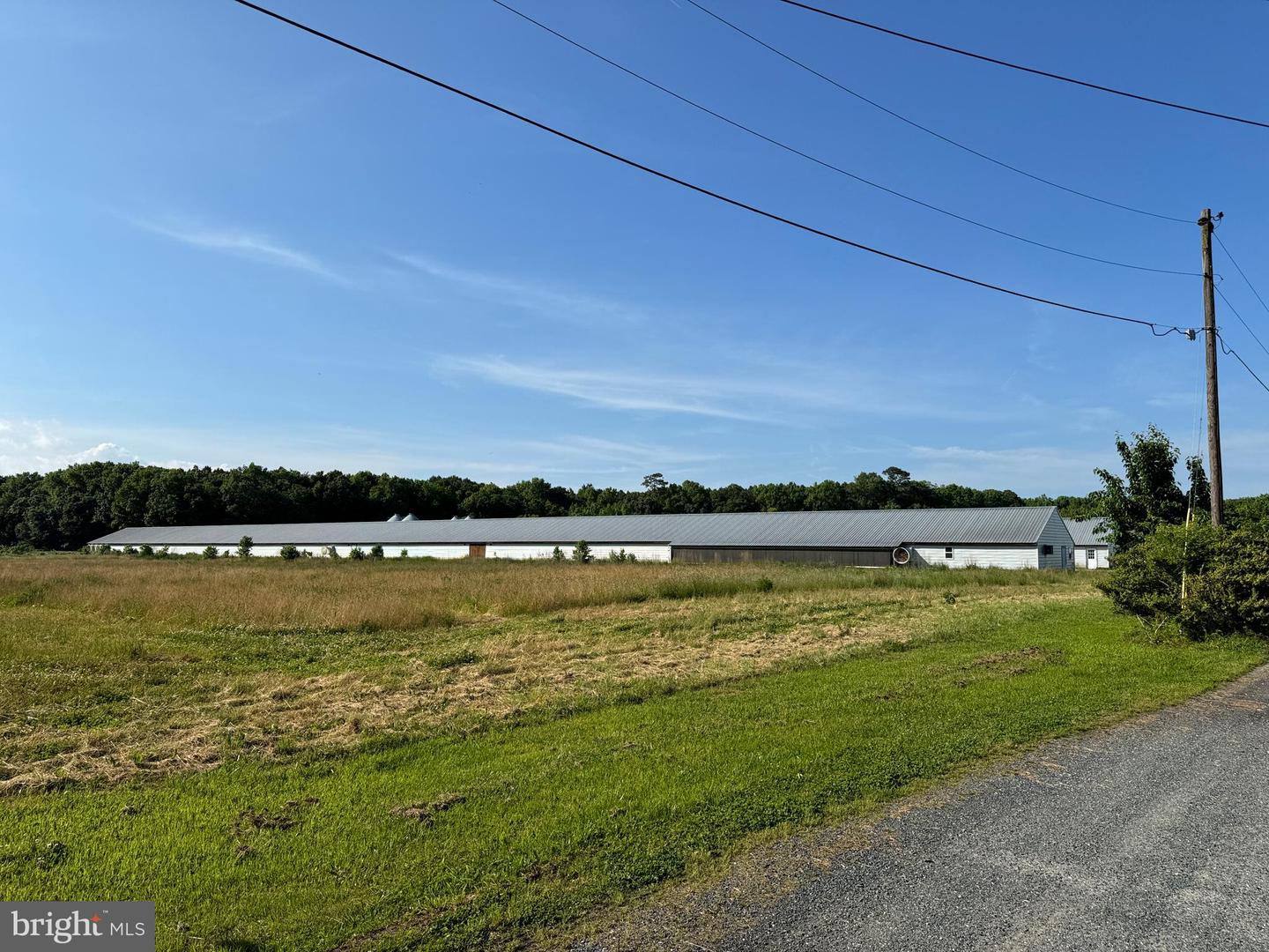 27227 SAVANNAH RD, HALLWOOD, Virginia 23359, 2 Bedrooms Bedrooms, ,2 BathroomsBathrooms,Farm,For sale,27227 SAVANNAH RD,VAAC2002174 MLS # VAAC2002174