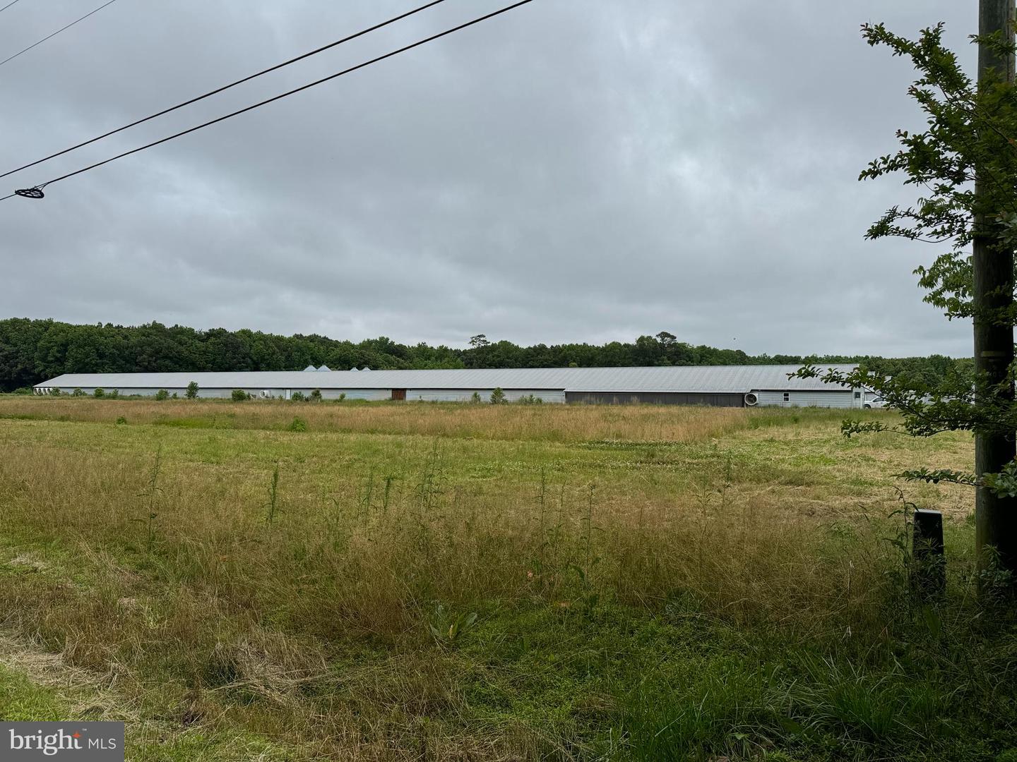 27227 SAVANNAH RD, HALLWOOD, Virginia 23359, 2 Bedrooms Bedrooms, ,2 BathroomsBathrooms,Farm,For sale,27227 SAVANNAH RD,VAAC2002174 MLS # VAAC2002174