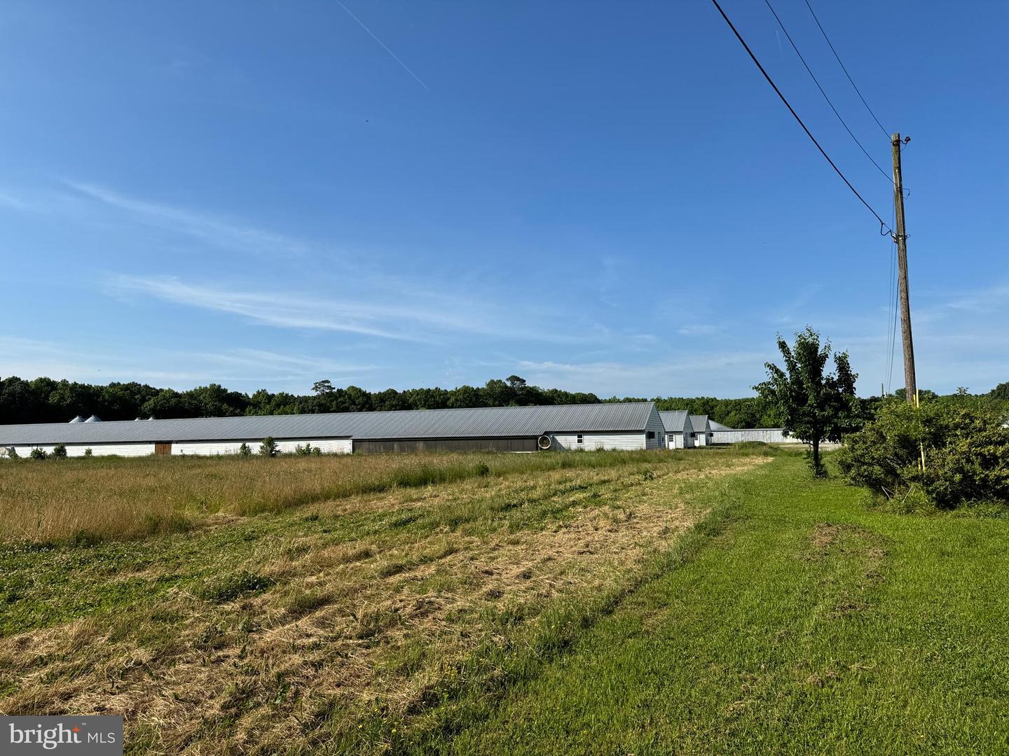 27227 SAVANNAH RD, HALLWOOD, Virginia 23359, 2 Bedrooms Bedrooms, ,2 BathroomsBathrooms,Farm,For sale,27227 SAVANNAH RD,VAAC2002174 MLS # VAAC2002174