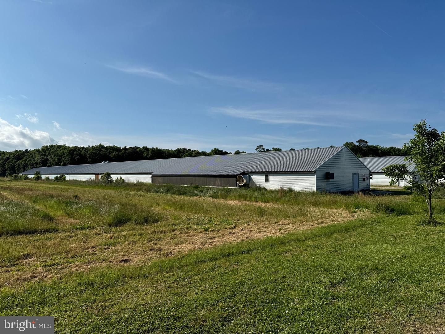 27227 SAVANNAH RD, HALLWOOD, Virginia 23359, 2 Bedrooms Bedrooms, ,2 BathroomsBathrooms,Farm,For sale,27227 SAVANNAH RD,VAAC2002174 MLS # VAAC2002174
