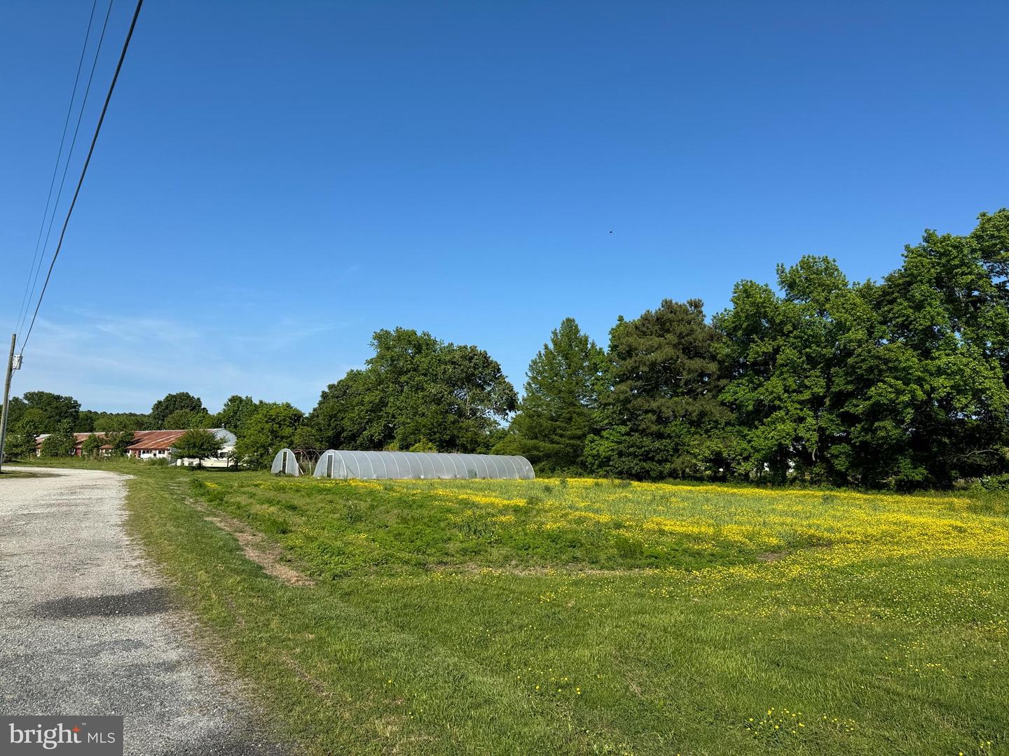 27227 SAVANNAH RD, HALLWOOD, Virginia 23359, 2 Bedrooms Bedrooms, ,2 BathroomsBathrooms,Farm,For sale,27227 SAVANNAH RD,VAAC2002174 MLS # VAAC2002174