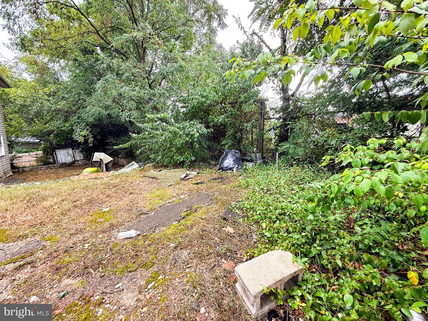 51ST ST SE, WASHINGTON, District Of Columbia 20019, ,Land,For sale,51ST ST SE,DCDC2215408 MLS # DCDC2215408