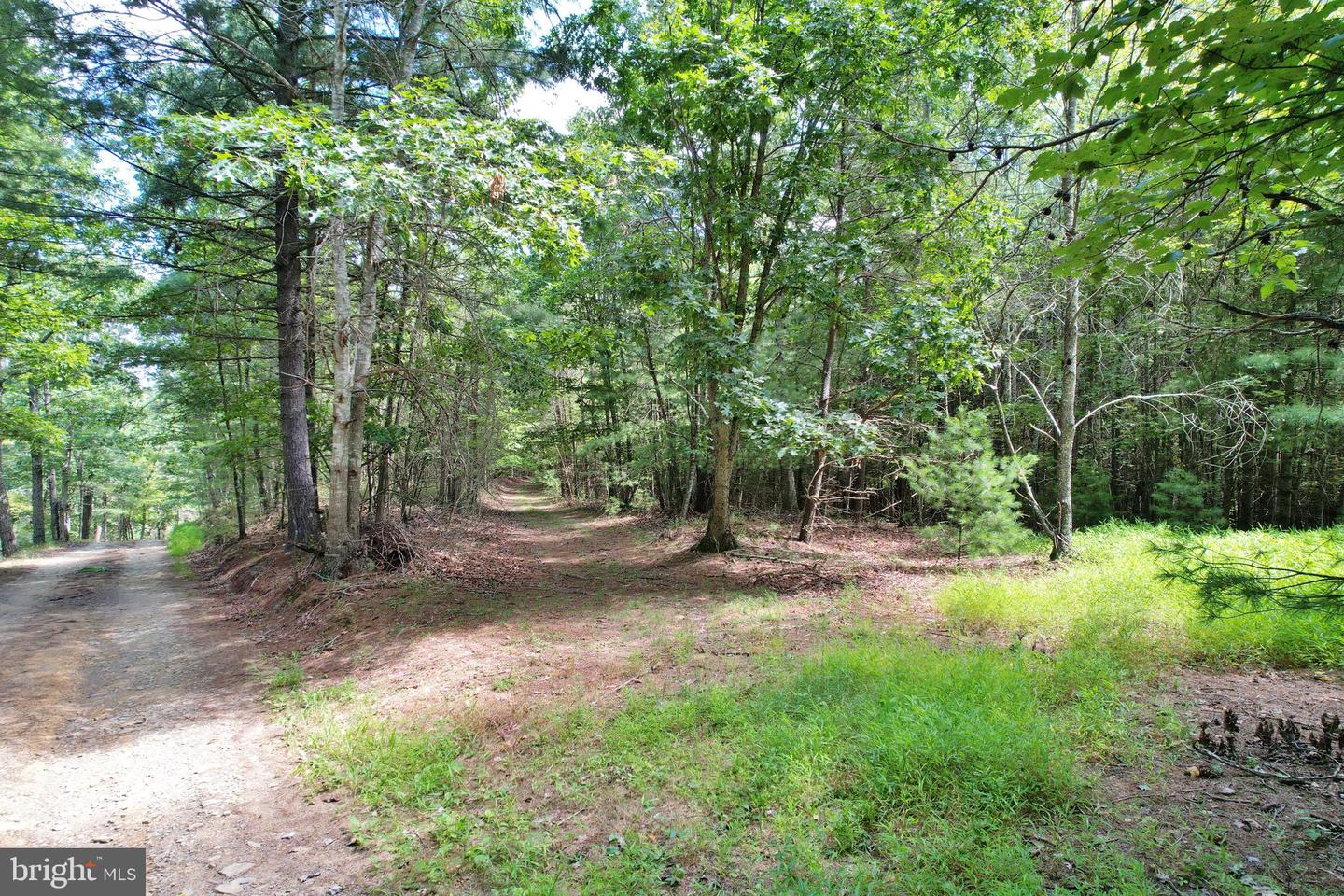 0 ALUM SPRINGS RD, EDINBURG, Virginia 22824, ,Land,For sale,0 ALUM SPRINGS RD,VASH2012252 MLS # VASH2012252