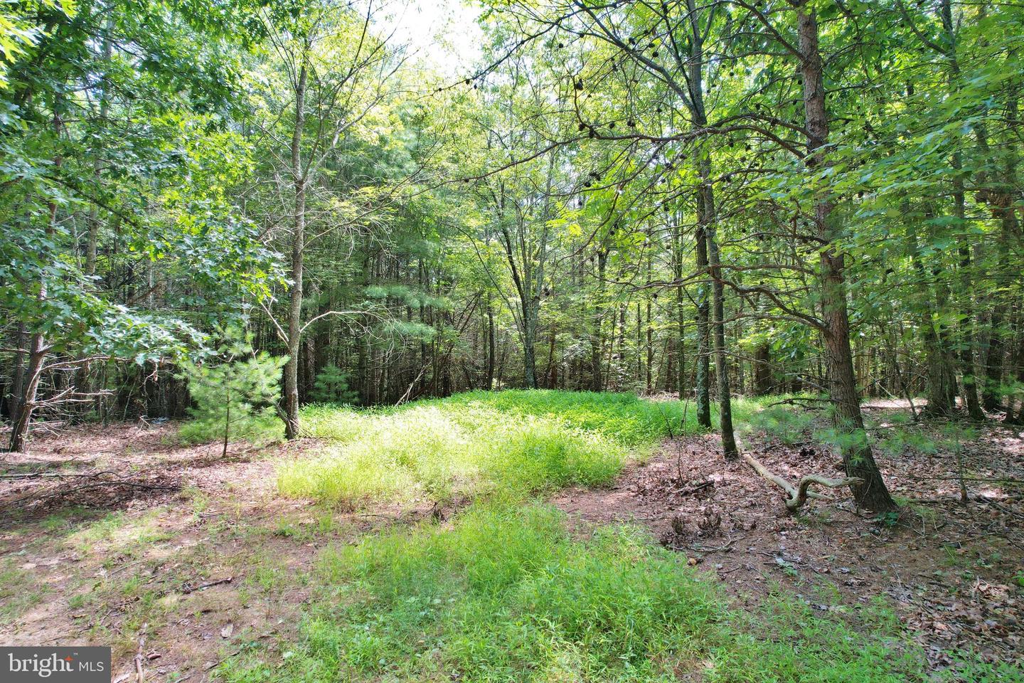 0 ALUM SPRINGS RD, EDINBURG, Virginia 22824, ,Land,For sale,0 ALUM SPRINGS RD,VASH2012252 MLS # VASH2012252
