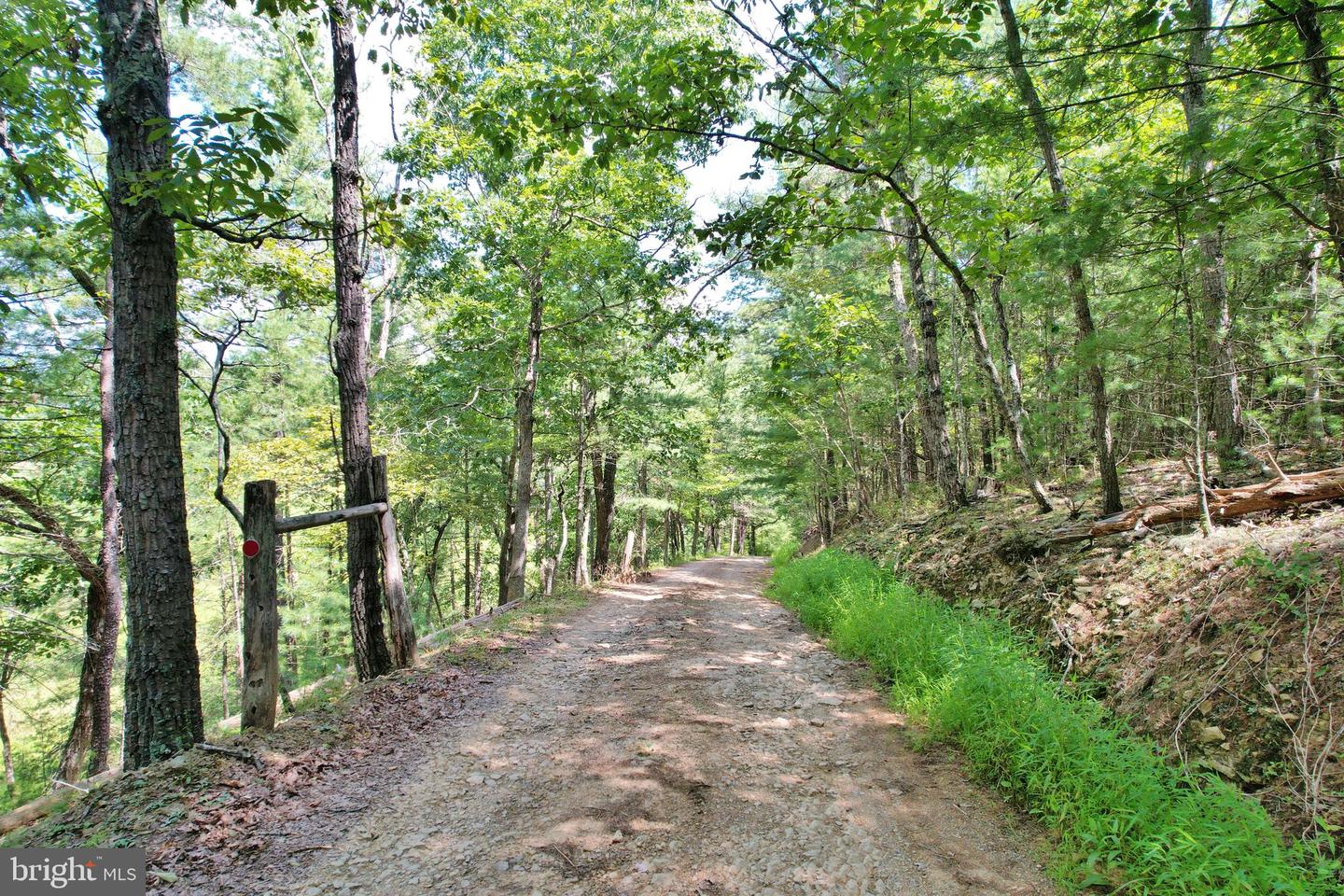 0 ALUM SPRINGS RD, EDINBURG, Virginia 22824, ,Land,For sale,0 ALUM SPRINGS RD,VASH2012252 MLS # VASH2012252