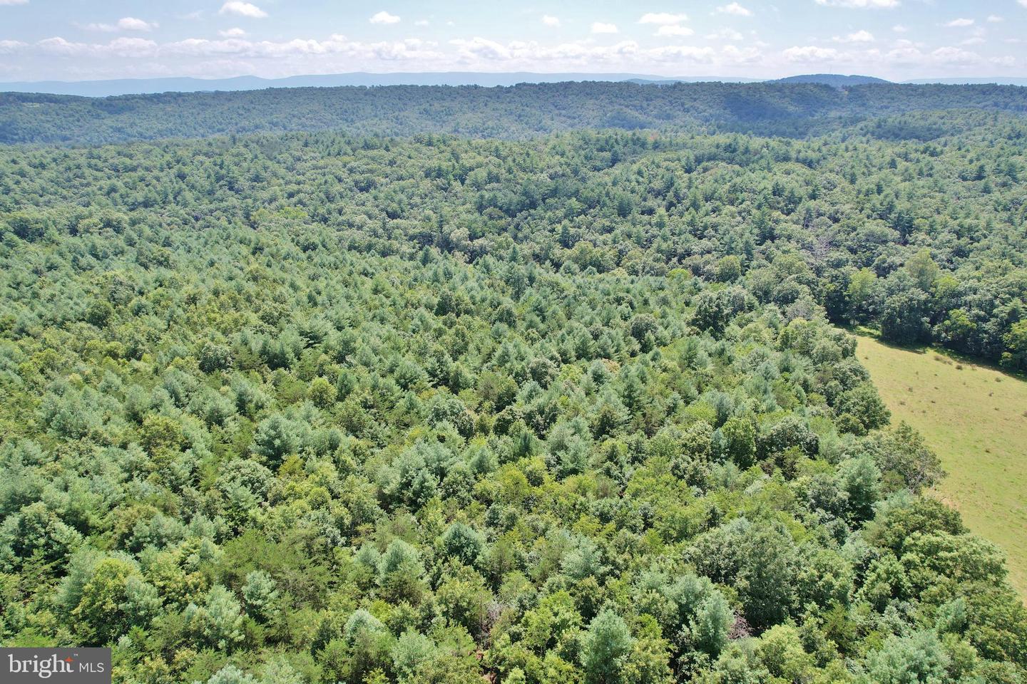 0 ALUM SPRINGS RD, EDINBURG, Virginia 22824, ,Land,For sale,0 ALUM SPRINGS RD,VASH2012252 MLS # VASH2012252