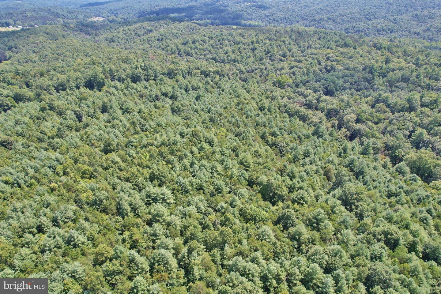 0 ALUM SPRINGS RD, EDINBURG, Virginia 22824, ,Land,For sale,0 ALUM SPRINGS RD,VASH2012252 MLS # VASH2012252