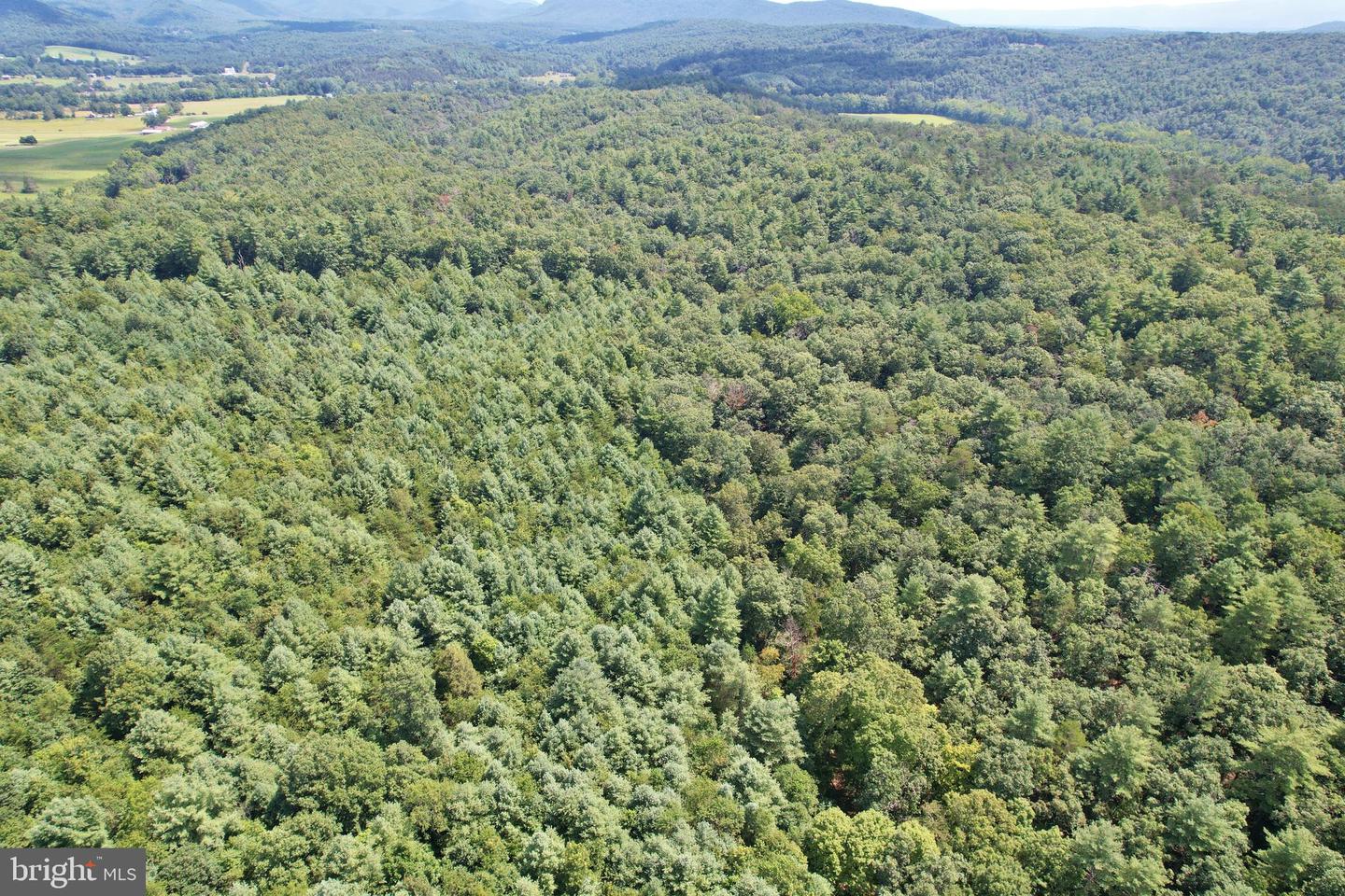 0 ALUM SPRINGS RD, EDINBURG, Virginia 22824, ,Land,For sale,0 ALUM SPRINGS RD,VASH2012252 MLS # VASH2012252