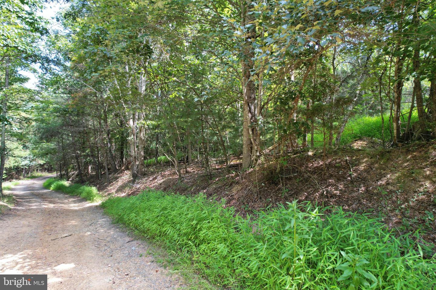0 ALUM SPRINGS RD, EDINBURG, Virginia 22824, ,Land,For sale,0 ALUM SPRINGS RD,VASH2012252 MLS # VASH2012252