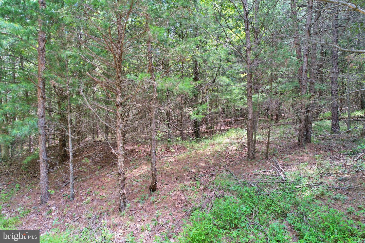 0 ALUM SPRINGS RD, EDINBURG, Virginia 22824, ,Land,For sale,0 ALUM SPRINGS RD,VASH2012252 MLS # VASH2012252