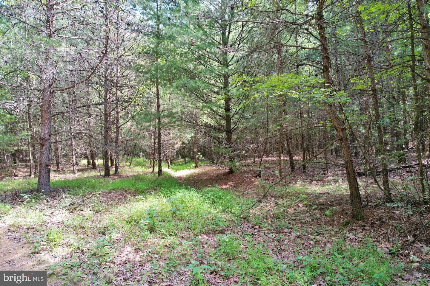 0 ALUM SPRINGS RD, EDINBURG, Virginia 22824, ,Land,For sale,0 ALUM SPRINGS RD,VASH2012252 MLS # VASH2012252