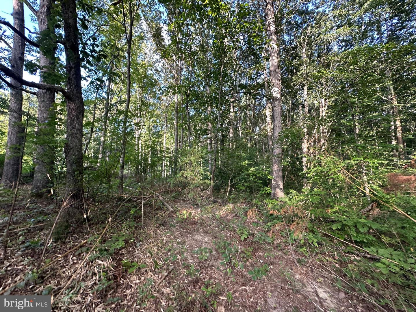 230 TACKETTS MILL RD, STAFFORD, Virginia 22556, ,Land,For sale,230 TACKETTS MILL RD,VAST2041926 MLS # VAST2041926
