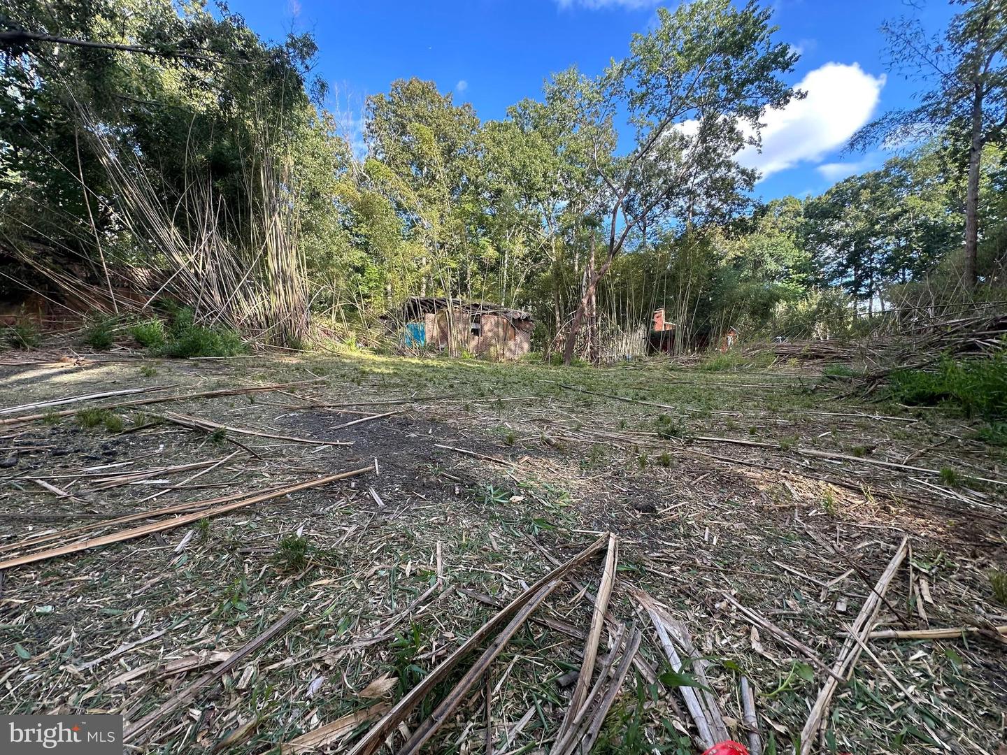 230 TACKETTS MILL RD, STAFFORD, Virginia 22556, ,Land,For sale,230 TACKETTS MILL RD,VAST2041926 MLS # VAST2041926