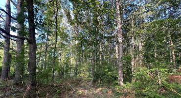 230 TACKETTS MILL RD, STAFFORD, Virginia 22556, ,Land,For sale,230 TACKETTS MILL RD,VAST2041926 MLS # VAST2041926