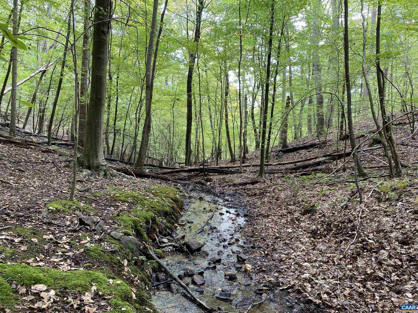 3047 WHIPPOORWILL RD, MADISON, Virginia 22727, ,Land,For sale,3047 WHIPPOORWILL RD,667997 MLS # 667997