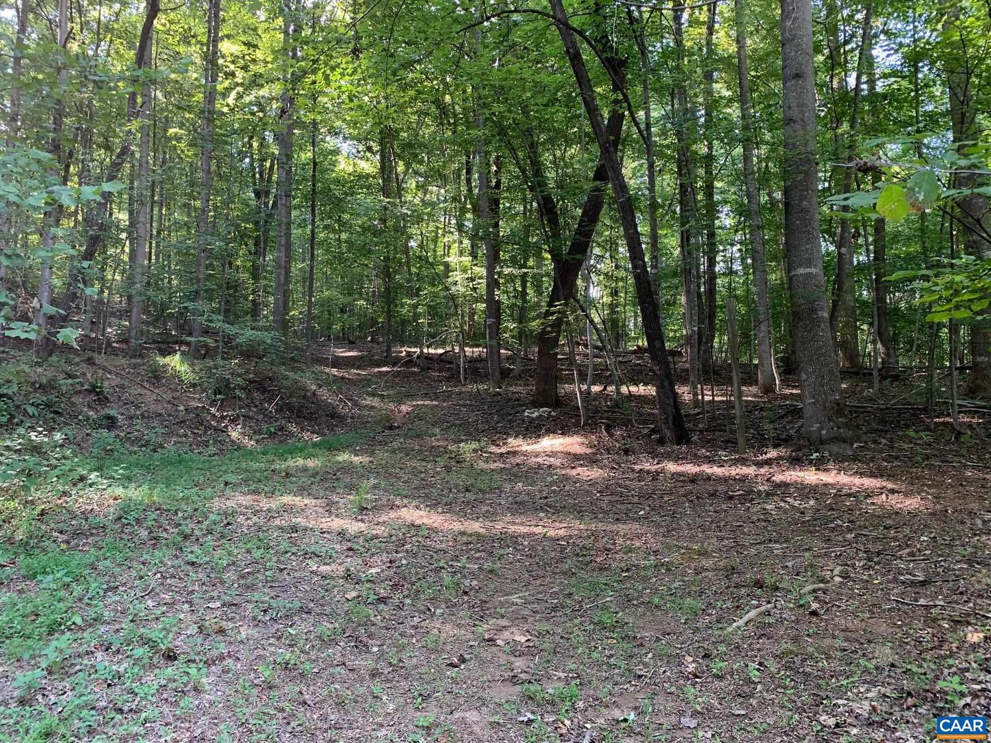 3047 WHIPPOORWILL RD, MADISON, Virginia 22727, ,Land,For sale,3047 WHIPPOORWILL RD,667997 MLS # 667997