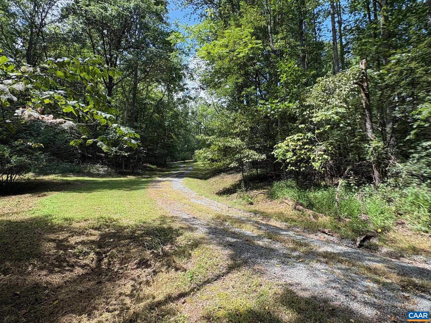 3047 WHIPPOORWILL RD, MADISON, Virginia 22727, ,Land,For sale,3047 WHIPPOORWILL RD,667997 MLS # 667997