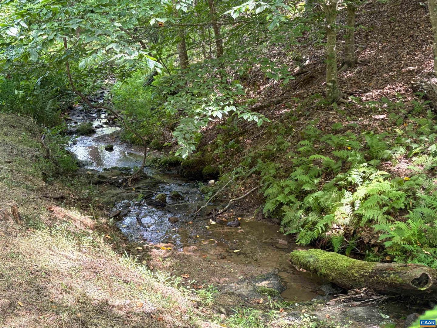 3047 WHIPPOORWILL RD, MADISON, Virginia 22727, ,Land,For sale,3047 WHIPPOORWILL RD,667997 MLS # 667997