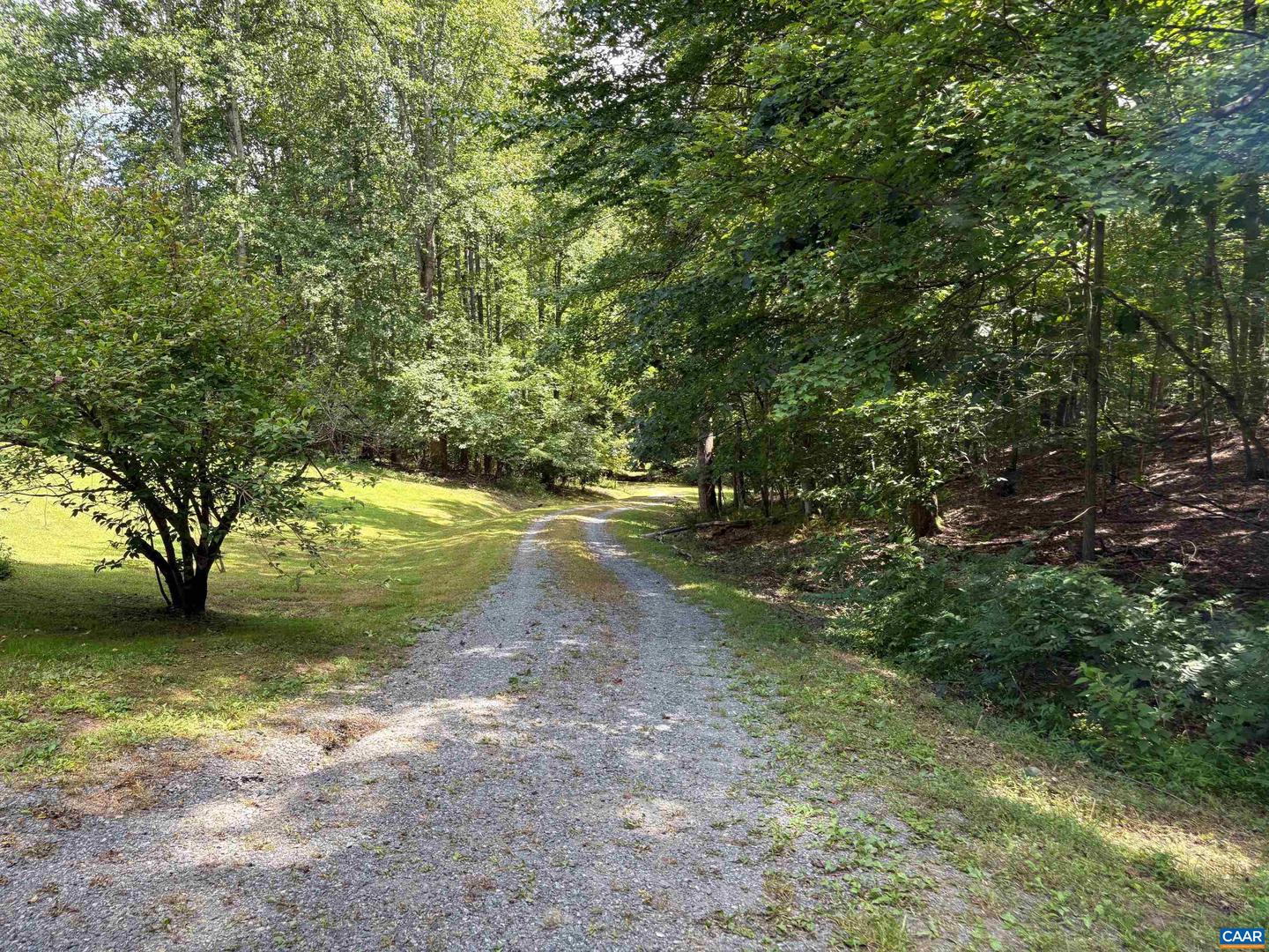 3047 WHIPPOORWILL RD, MADISON, Virginia 22727, ,Land,For sale,3047 WHIPPOORWILL RD,667997 MLS # 667997