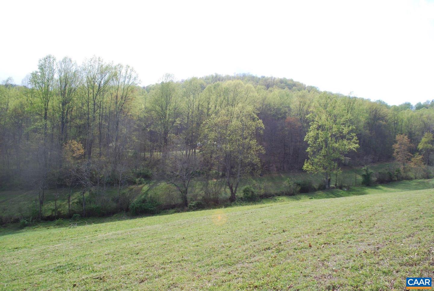 3047 WHIPPOORWILL RD, MADISON, Virginia 22727, ,Land,For sale,3047 WHIPPOORWILL RD,667997 MLS # 667997