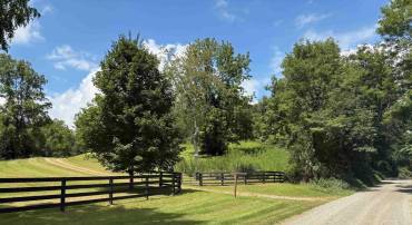 3047 WHIPPOORWILL RD, MADISON, Virginia 22727, ,Land,For sale,3047 WHIPPOORWILL RD,667997 MLS # 667997