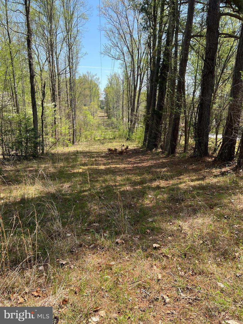 LOT 4 LIVELY LN, GUM SPRING, Virginia 23065, ,Land,For sale,LOT 4 LIVELY LN,VAGO2000390 MLS # VAGO2000390