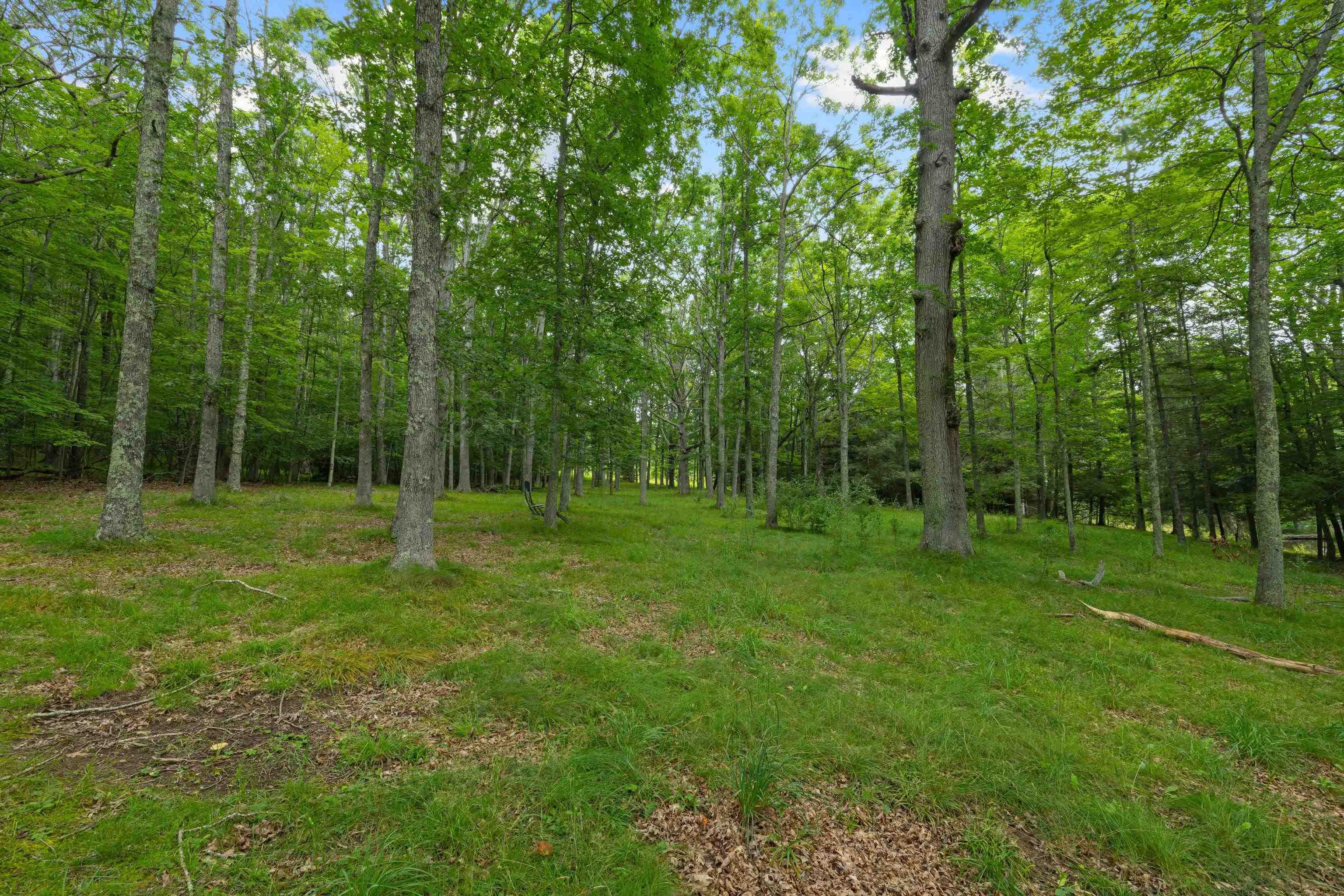 7382 LAUREL FORK RD, BLUE GRASS, Virginia 24413, 2 Bedrooms Bedrooms, ,1 BathroomBathrooms,Residential,7382 LAUREL FORK RD,667991 MLS # 667991
