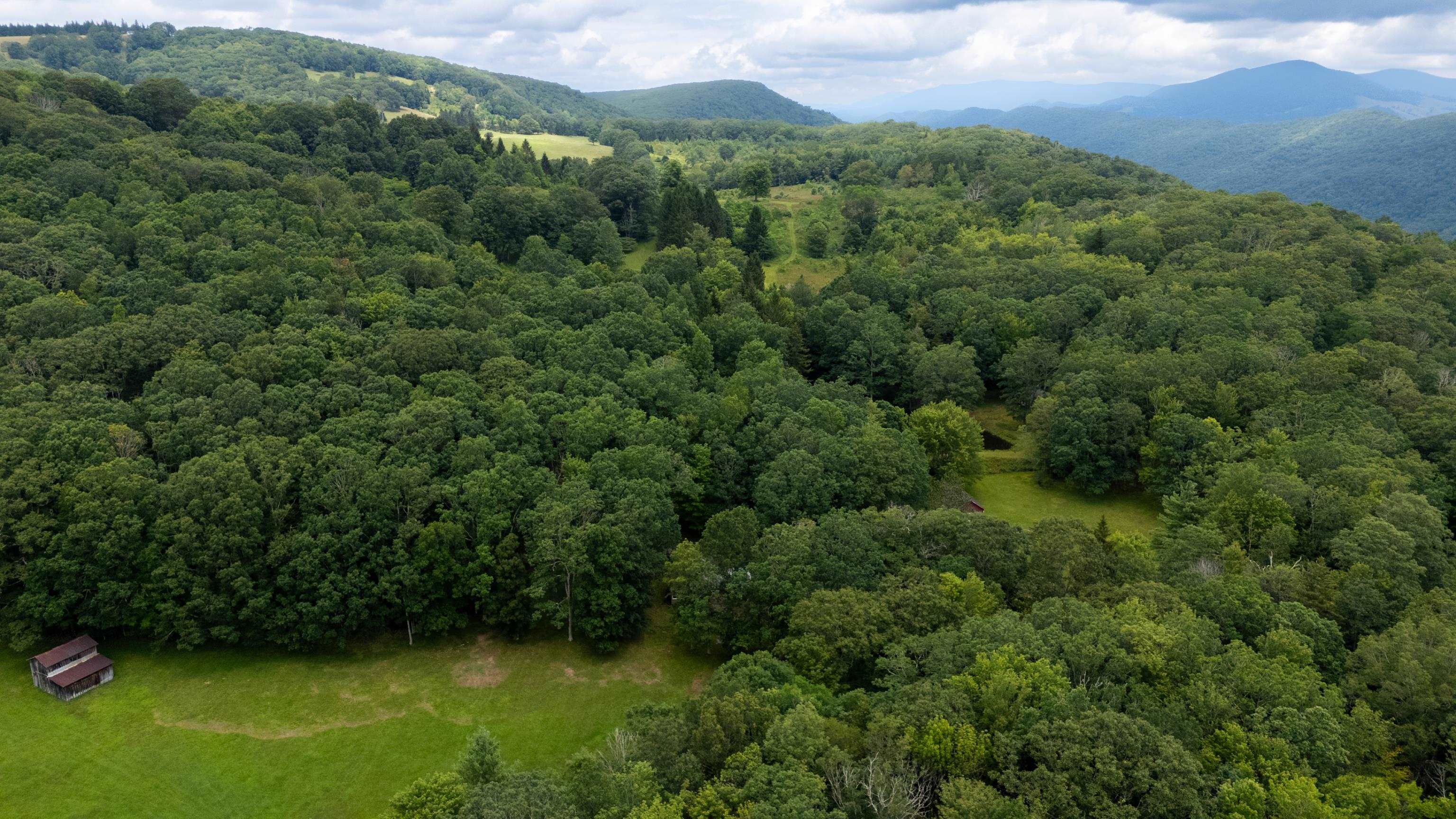 7382 LAUREL FORK RD, BLUE GRASS, Virginia 24413, 2 Bedrooms Bedrooms, ,1 BathroomBathrooms,Residential,7382 LAUREL FORK RD,667991 MLS # 667991