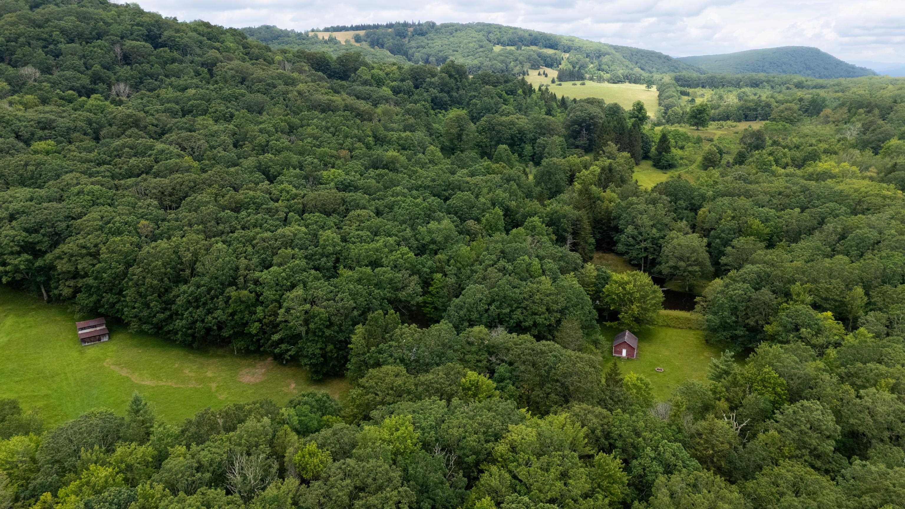 7382 LAUREL FORK RD, BLUE GRASS, Virginia 24413, 2 Bedrooms Bedrooms, ,1 BathroomBathrooms,Residential,7382 LAUREL FORK RD,667991 MLS # 667991
