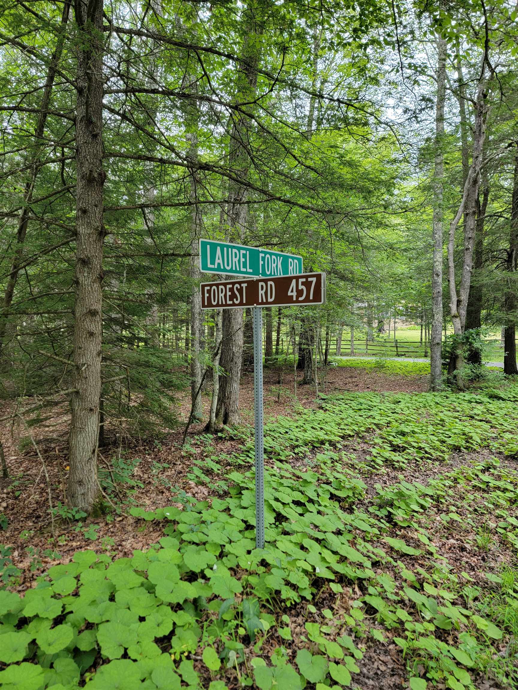 7382 LAUREL FORK RD, BLUE GRASS, Virginia 24413, 2 Bedrooms Bedrooms, ,1 BathroomBathrooms,Residential,7382 LAUREL FORK RD,667991 MLS # 667991