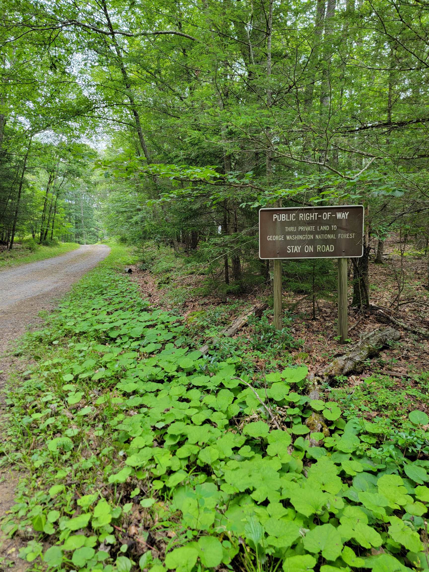 7382 LAUREL FORK RD, BLUE GRASS, Virginia 24413, 2 Bedrooms Bedrooms, ,1 BathroomBathrooms,Residential,7382 LAUREL FORK RD,667991 MLS # 667991