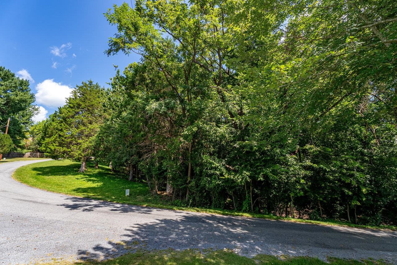606 RIVERSIDE DR, LURAY, Virginia 22835, 1 Bedroom Bedrooms, ,1 BathroomBathrooms,Residential,606 RIVERSIDE DR,668000 MLS # 668000