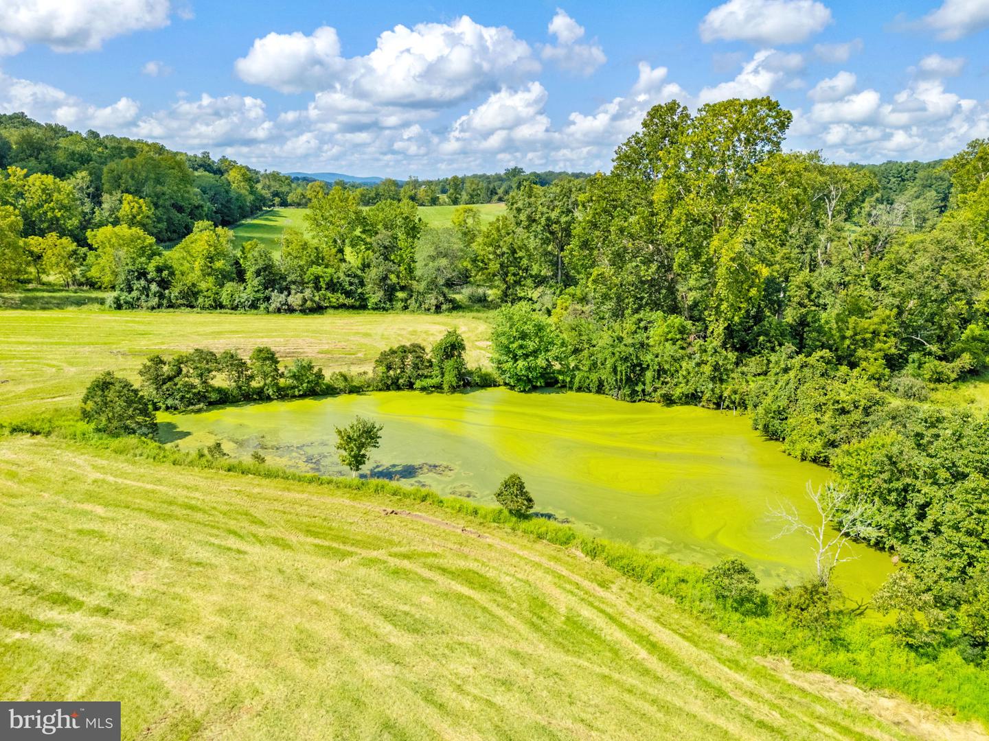 3418 HALFWAY RD, THE PLAINS, Virginia 20198, 5 Bedrooms Bedrooms, ,4 BathroomsBathrooms,Residential,For sale,3418 HALFWAY RD,VAFQ2017424 MLS # VAFQ2017424