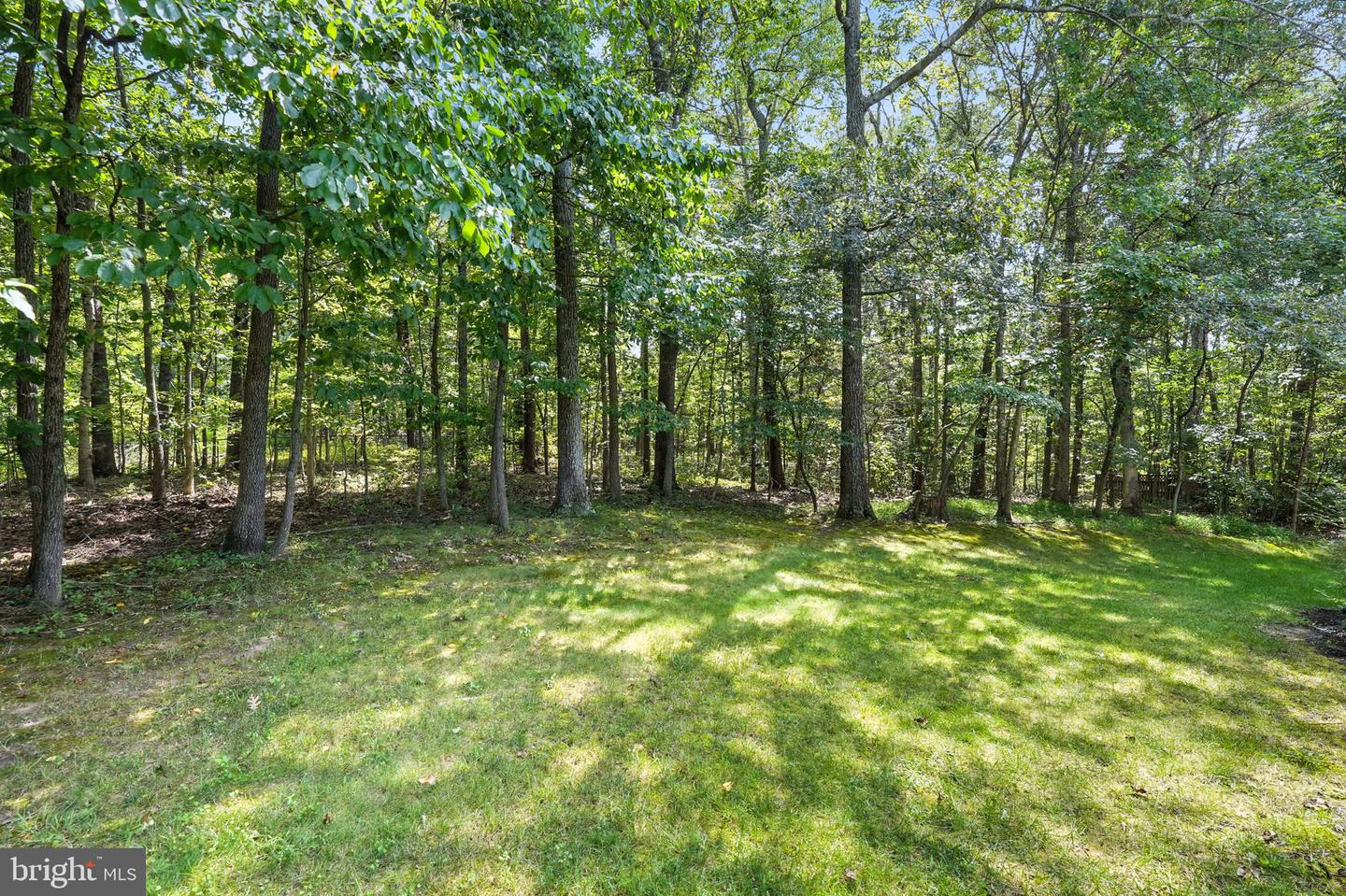 8439 HOLSTEIN PONY CT, GAINESVILLE, Virginia 20155, 4 Bedrooms Bedrooms, ,2 BathroomsBathrooms,Residential,For sale,8439 HOLSTEIN PONY CT,VAPW2101306 MLS # VAPW2101306
