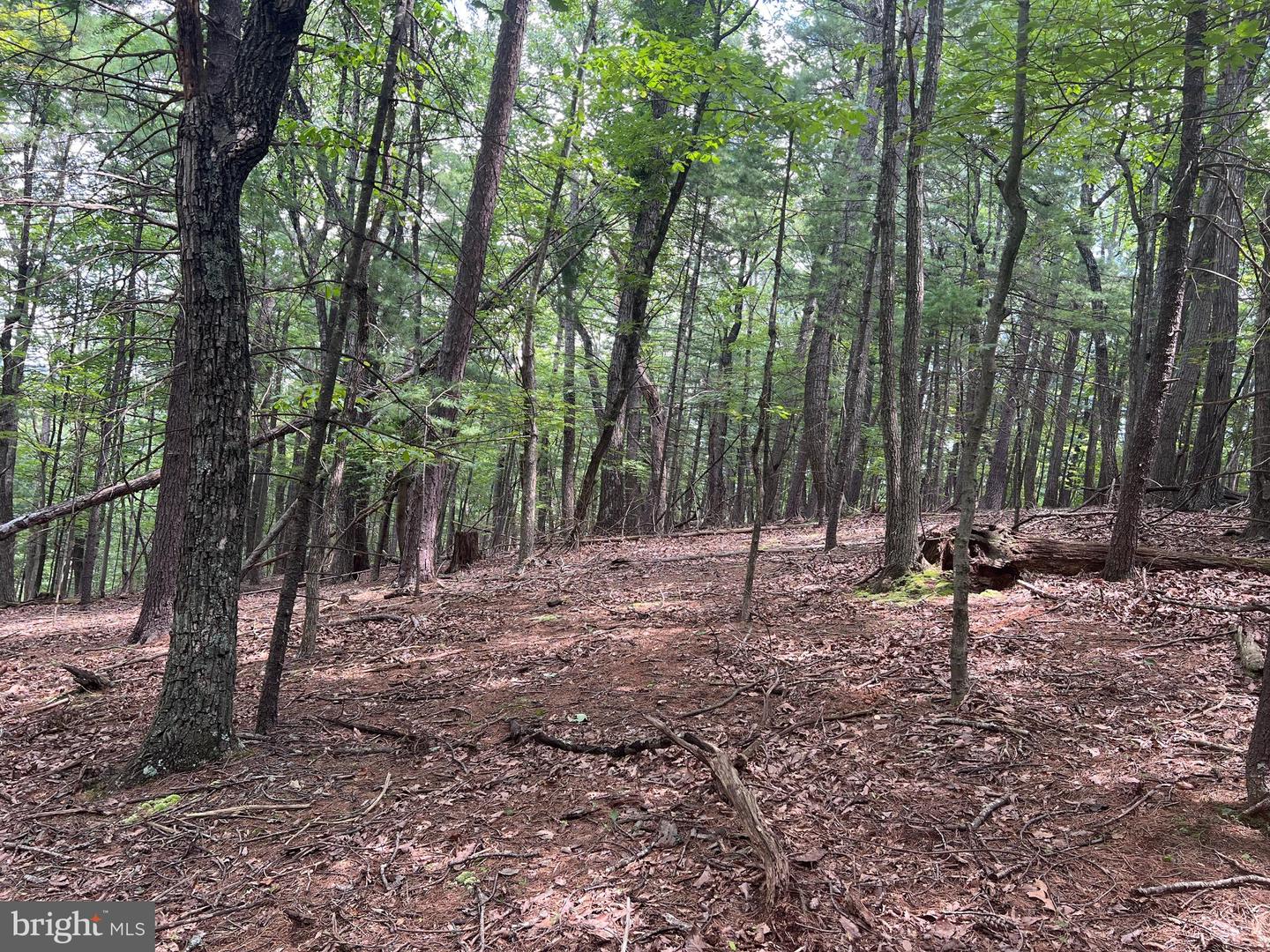 TIMBER RIDGE, MOUNT JACKSON, Virginia 22842, ,Land,For sale,TIMBER RIDGE,VASH2012276 MLS # VASH2012276