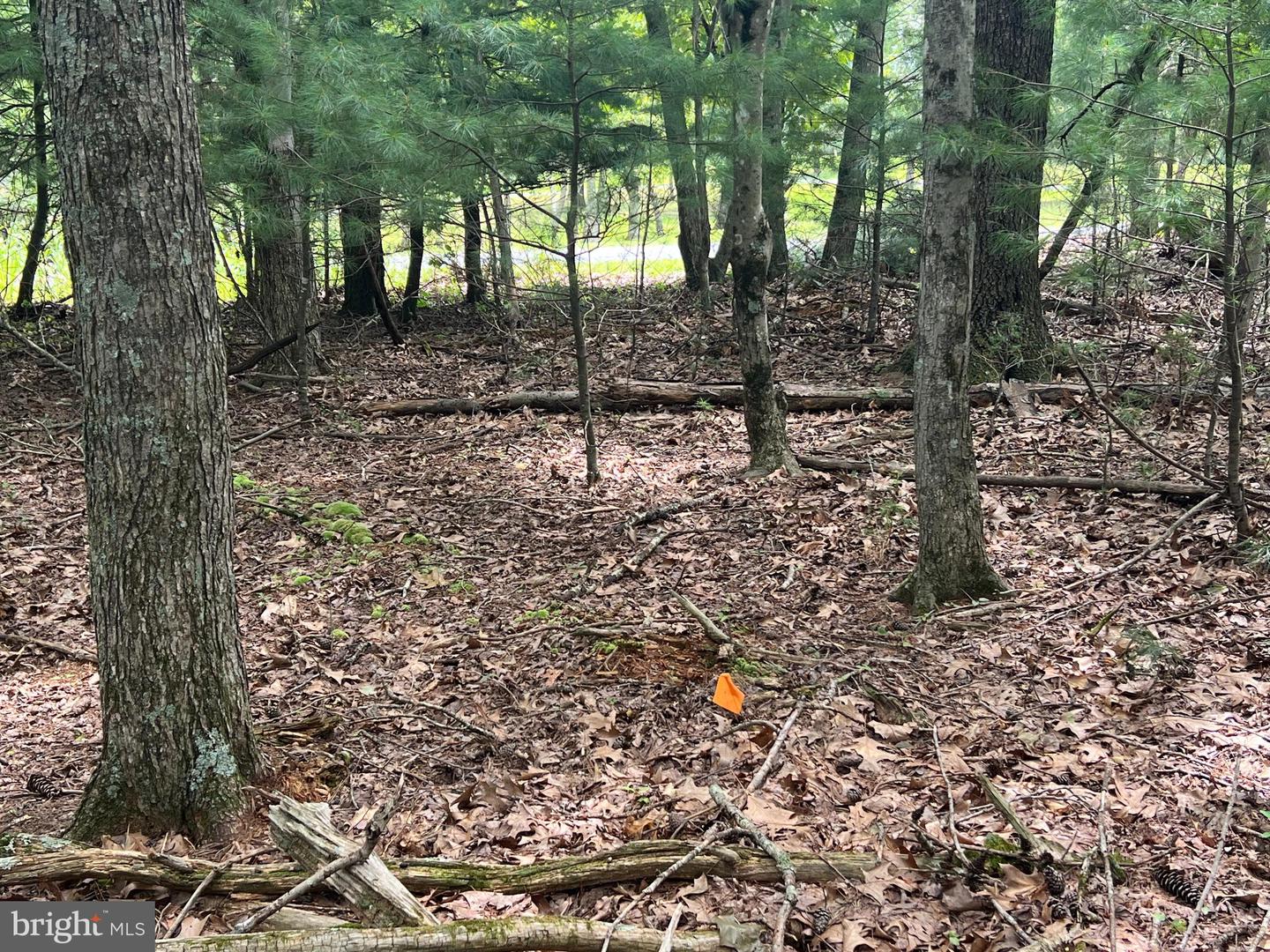 TIMBER RIDGE, MOUNT JACKSON, Virginia 22842, ,Land,For sale,TIMBER RIDGE,VASH2012276 MLS # VASH2012276