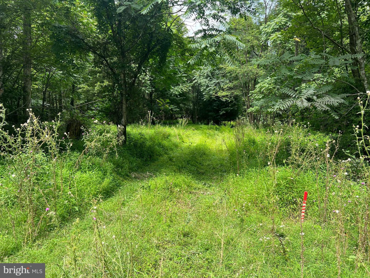 TIMBER RIDGE, MOUNT JACKSON, Virginia 22842, ,Land,For sale,TIMBER RIDGE,VASH2012276 MLS # VASH2012276