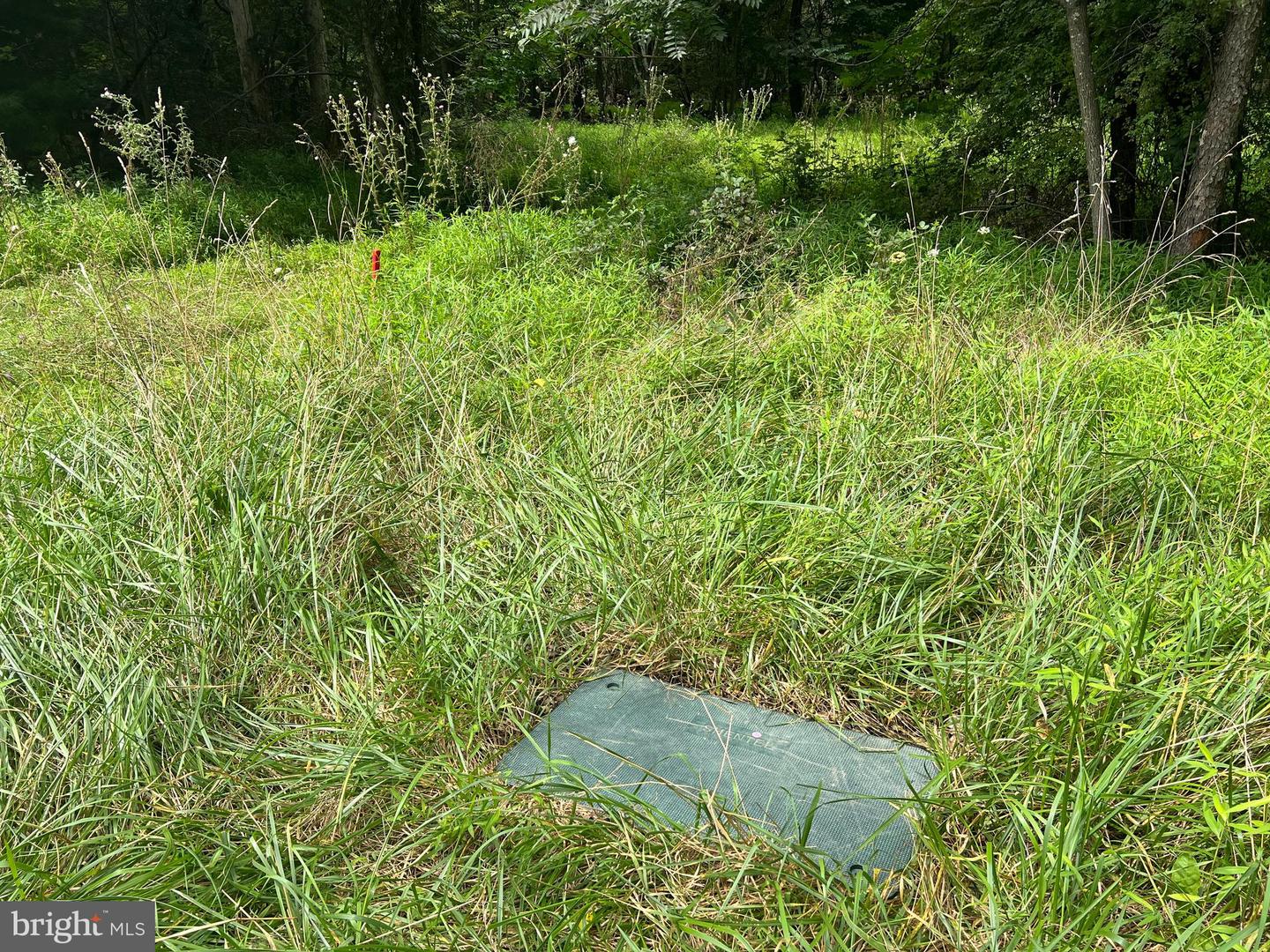 TIMBER RIDGE, MOUNT JACKSON, Virginia 22842, ,Land,For sale,TIMBER RIDGE,VASH2012276 MLS # VASH2012276