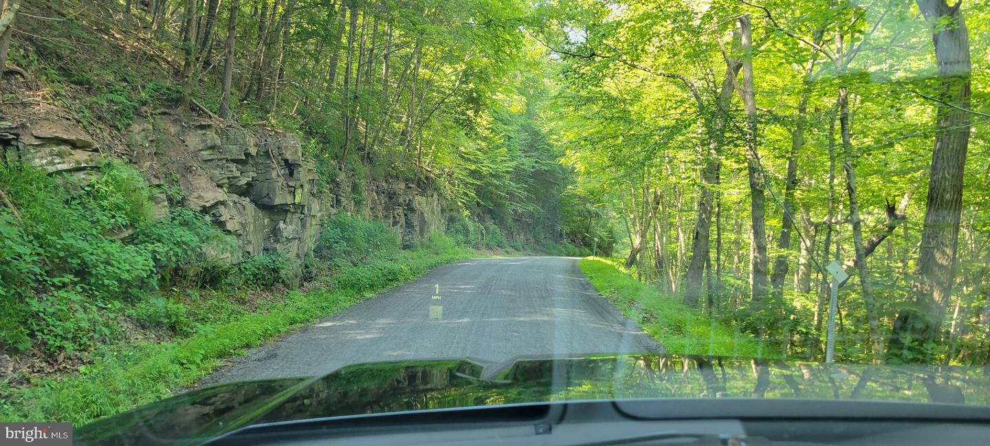 TIMBER RIDGE, MOUNT JACKSON, Virginia 22842, ,Land,For sale,TIMBER RIDGE,VASH2012276 MLS # VASH2012276
