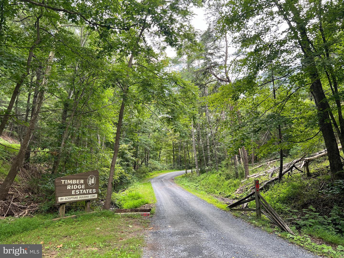 TIMBER RIDGE, MOUNT JACKSON, Virginia 22842, ,Land,For sale,TIMBER RIDGE,VASH2012276 MLS # VASH2012276