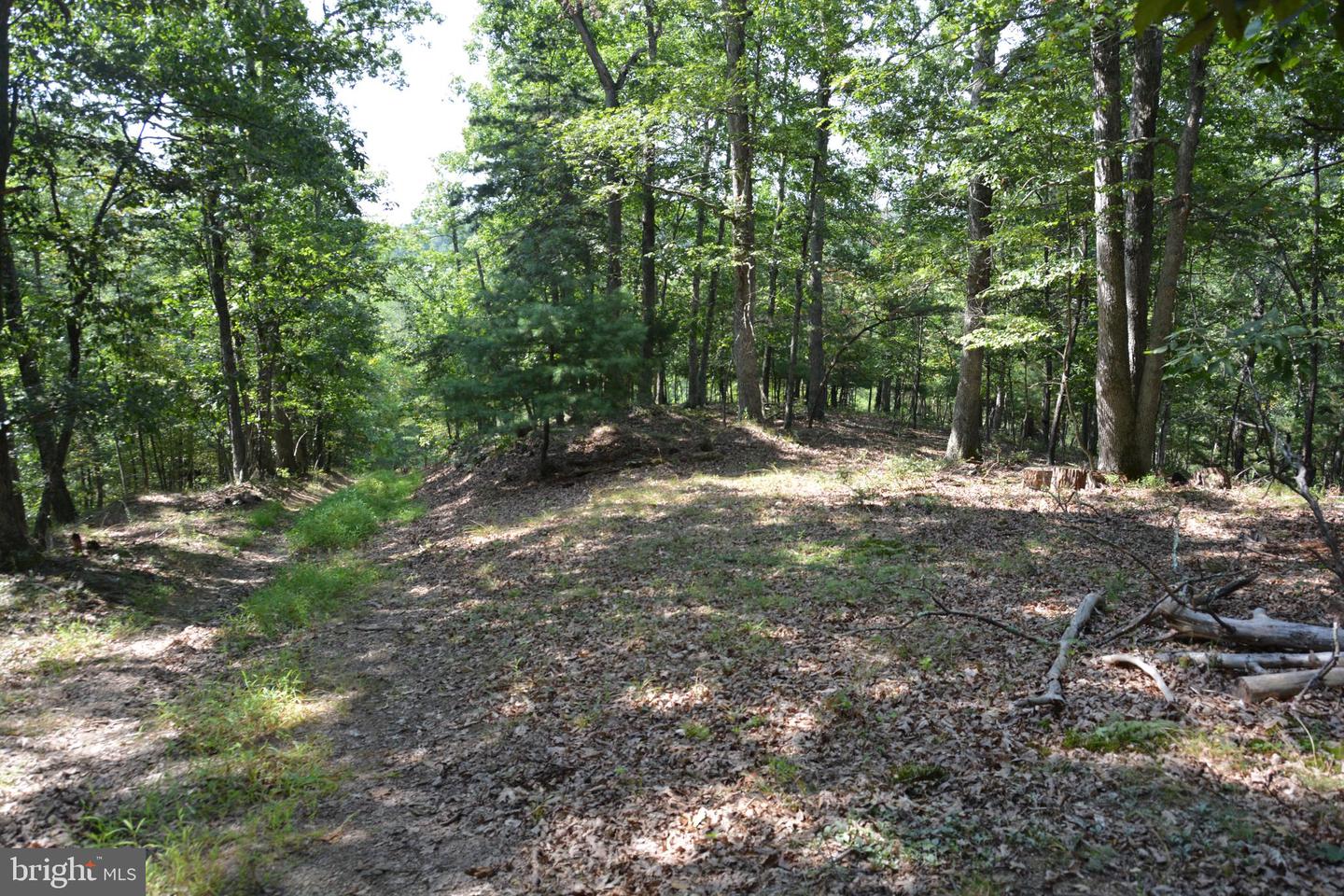 BRUSH CREEK RD #30+ ACRES, CROSS JUNCTION, Virginia 22625, ,Land,For sale,BRUSH CREEK RD #30+ ACRES,VAFV2036252 MLS # VAFV2036252