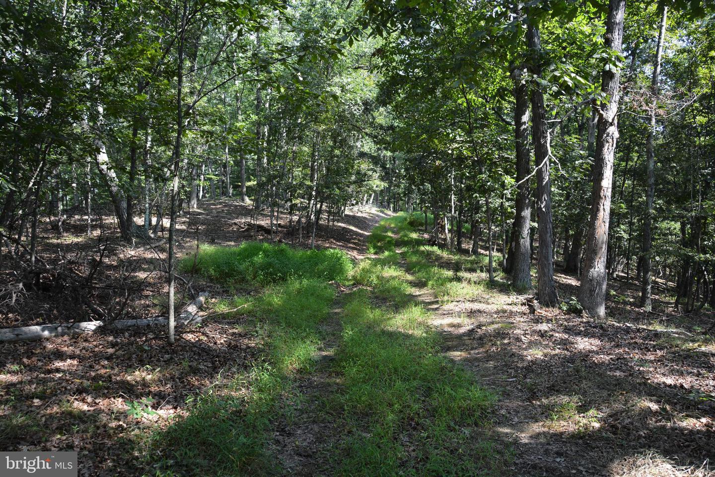BRUSH CREEK RD #30+ ACRES, CROSS JUNCTION, Virginia 22625, ,Land,For sale,BRUSH CREEK RD #30+ ACRES,VAFV2036252 MLS # VAFV2036252