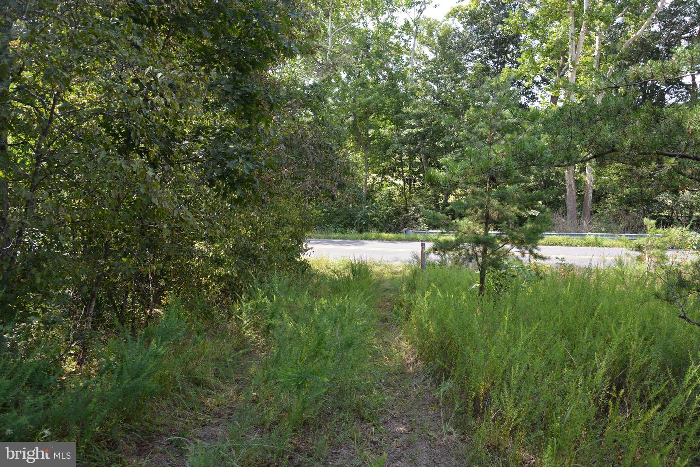 BRUSH CREEK RD #30+ ACRES, CROSS JUNCTION, Virginia 22625, ,Land,For sale,BRUSH CREEK RD #30+ ACRES,VAFV2036252 MLS # VAFV2036252