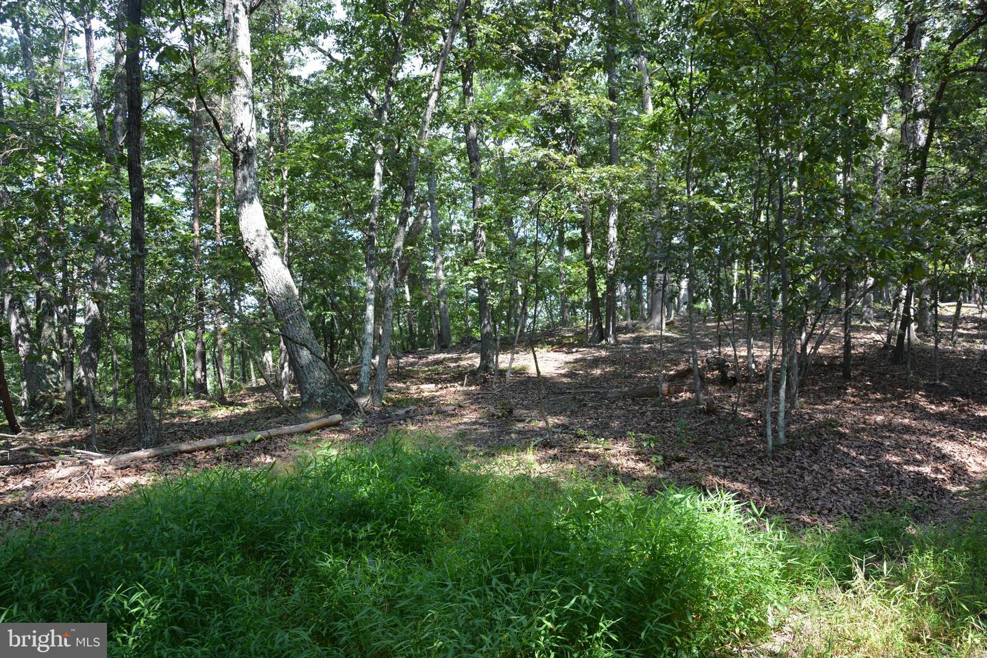 BRUSH CREEK RD #30+ ACRES, CROSS JUNCTION, Virginia 22625, ,Land,For sale,BRUSH CREEK RD #30+ ACRES,VAFV2036252 MLS # VAFV2036252