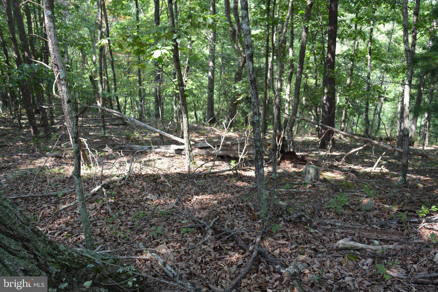 BRUSH CREEK RD #30+ ACRES, CROSS JUNCTION, Virginia 22625, ,Land,For sale,BRUSH CREEK RD #30+ ACRES,VAFV2036252 MLS # VAFV2036252