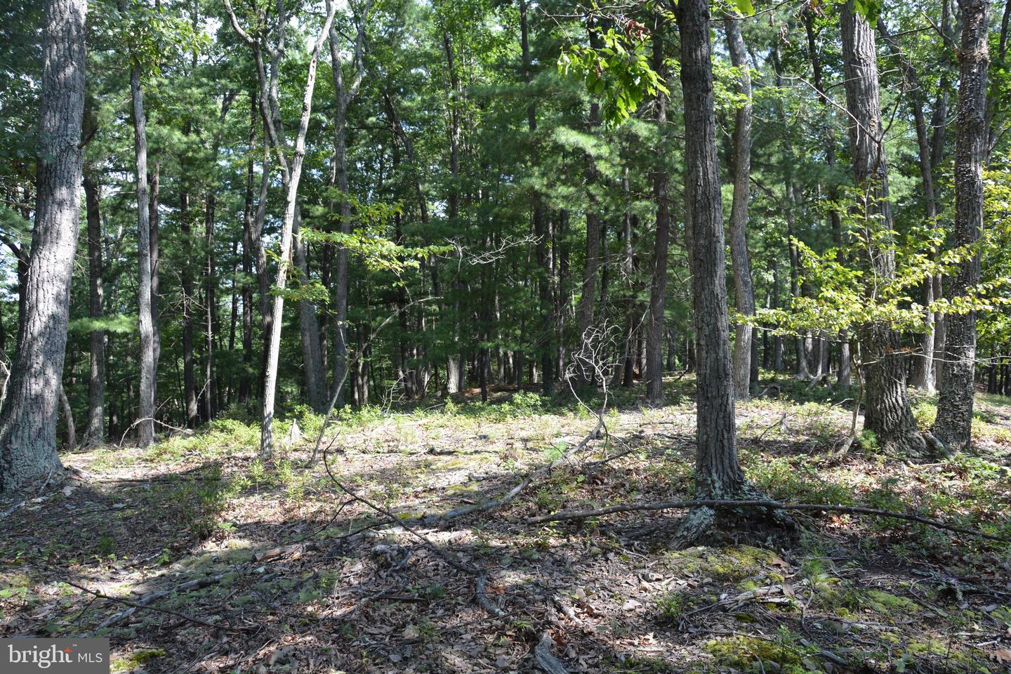 BRUSH CREEK RD #30+ ACRES, CROSS JUNCTION, Virginia 22625, ,Land,For sale,BRUSH CREEK RD #30+ ACRES,VAFV2036252 MLS # VAFV2036252