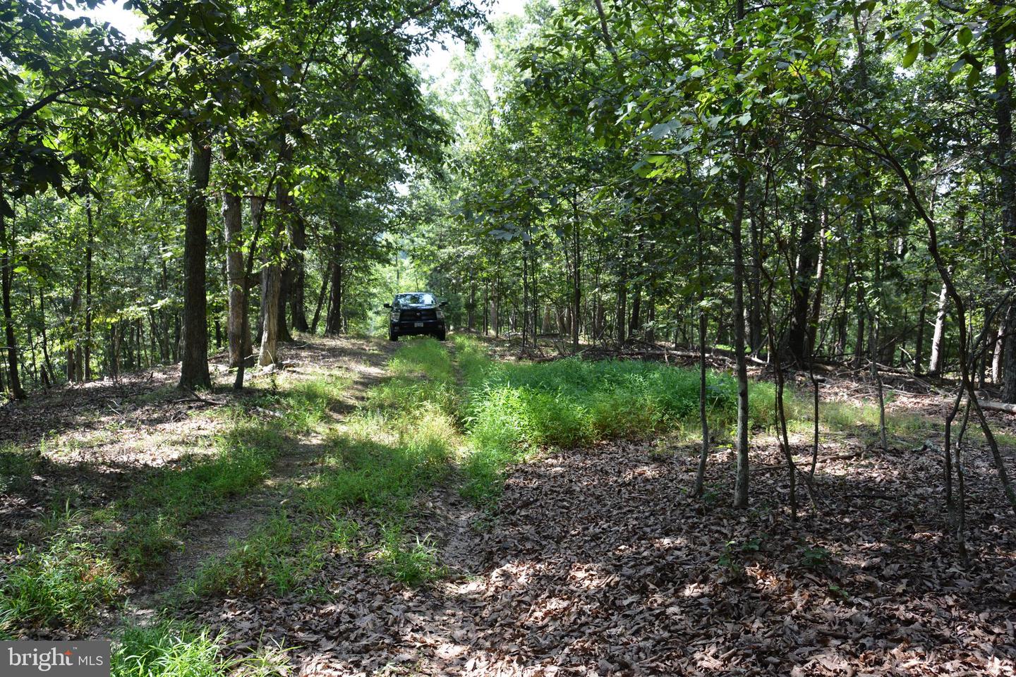 BRUSH CREEK RD #30+ ACRES, CROSS JUNCTION, Virginia 22625, ,Land,For sale,BRUSH CREEK RD #30+ ACRES,VAFV2036252 MLS # VAFV2036252