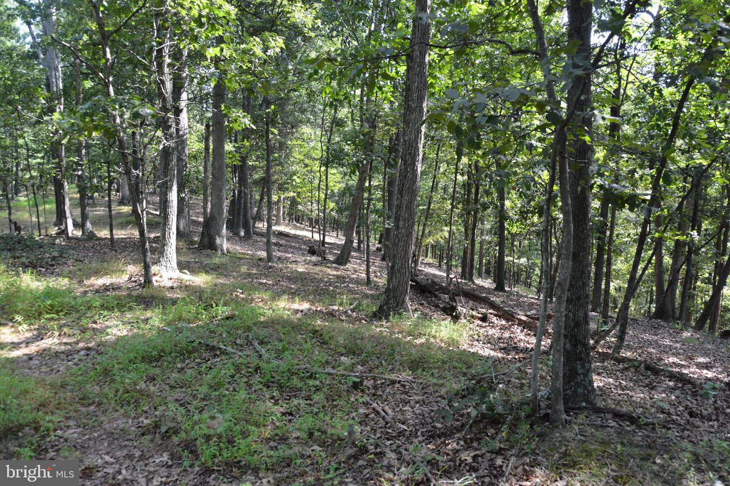 BRUSH CREEK RD #30+ ACRES, CROSS JUNCTION, Virginia 22625, ,Land,For sale,BRUSH CREEK RD #30+ ACRES,VAFV2036252 MLS # VAFV2036252